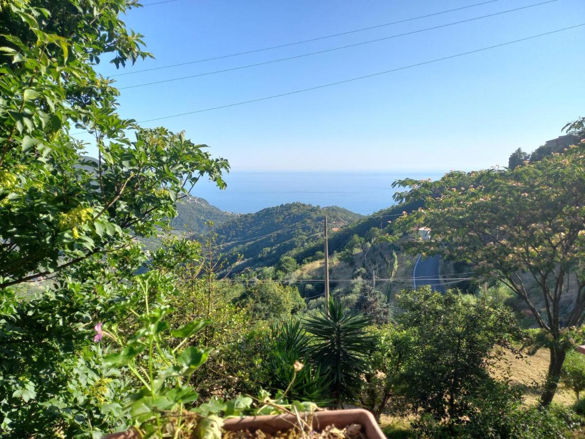 Cinque Terre & Portofino Lodge-Dependance Bracco Moneglia Eksteriør bilde
